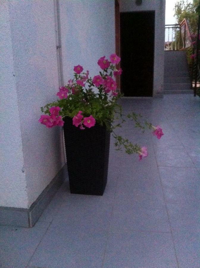 Apartmani Jadranka Vodice Dış mekan fotoğraf